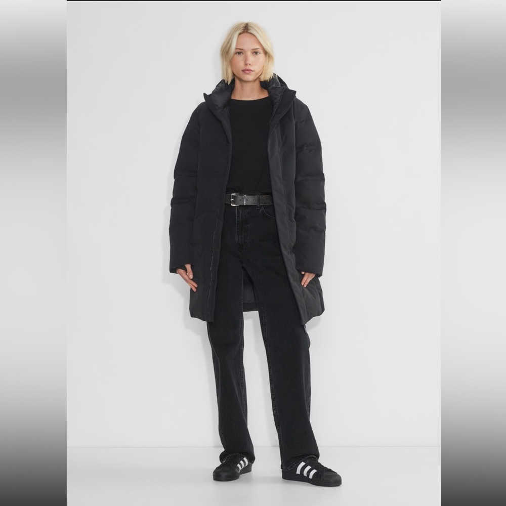 Aritzia Tna The Powder Dri Parka